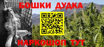 МДПВ Новозыбков