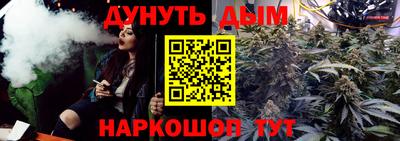 прущие грибы Новодвинск