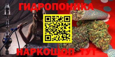 прущие грибы Новодвинск