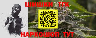 МДПВ Новозыбков