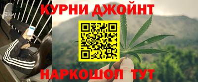 МДПВ Новозыбков