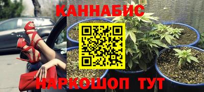 МДПВ Новозыбков