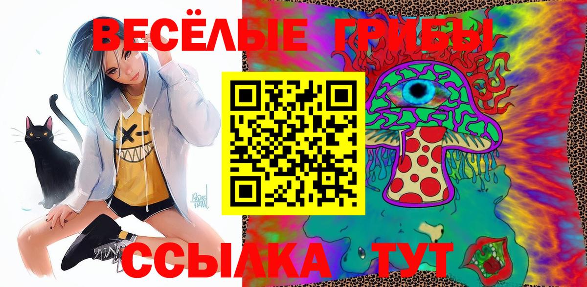 купить наркотик  Вход с VPN  Галлюциногенные грибы Magic Shrooms  Реутов  Галлюциногенные грибы Psilocybine cubensis 
