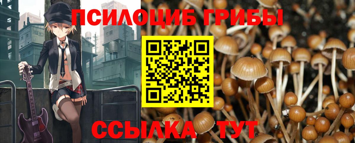 Галлюциногенные грибы Magic Shrooms Реутов